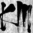 Kendo nelle Marche